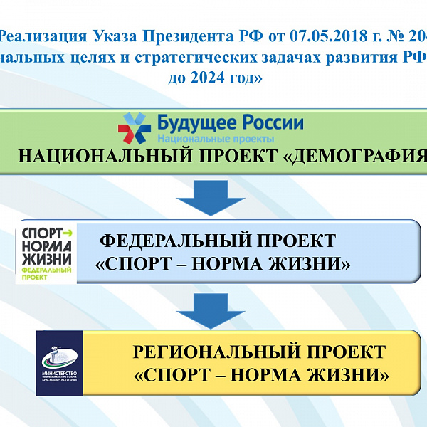 В рамках национального проекта демография спорт норма жизни