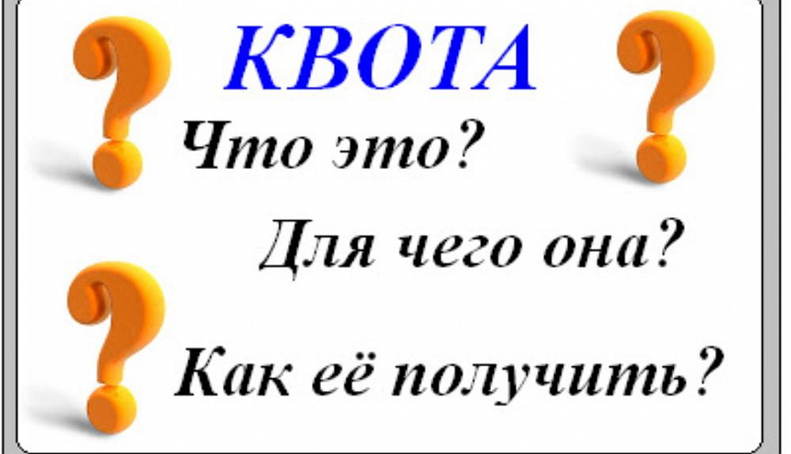 Что такое квота. Квота. Квота это простыми словами. Квота для презентации. Квота картинка.