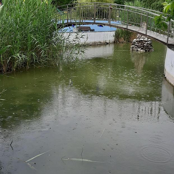 Арендаторы водоемов