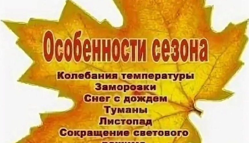 Безопасность осенью